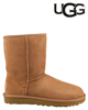 UGG classic short