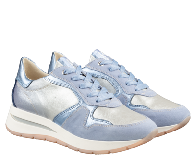 DL Sport 6562 sneakers