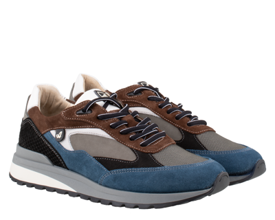 Australian Sparrow Sneakers
